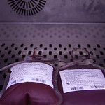  Banco de Sangue do HMB viabiliza doação com hora marcada