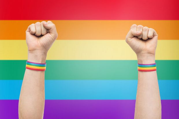  Alesp: Dia de Luta Contra a Homofobia completou dez anos em SP