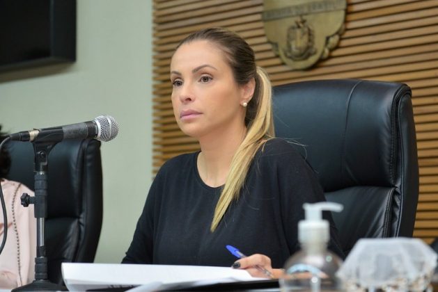  Câmara de Santana de Parnaíba promoveu duas plenárias dia 22