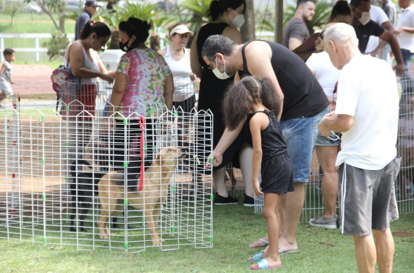  Feira de Adoção de pets e muitas atrações em Barueri