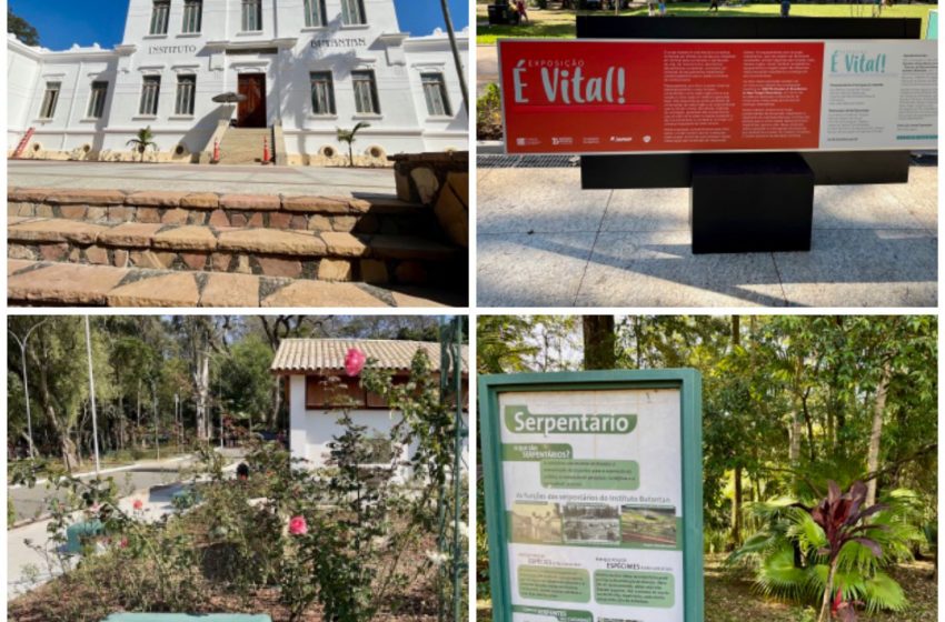  Agenda cultural: Parque da Ciência Butantan traz atrações para todas as idades