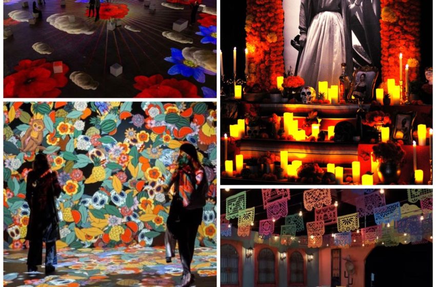  Agenda Cultural: ‘Frida Kahlo – A Vida de um Ícone’, exposição imersiva chega a SP