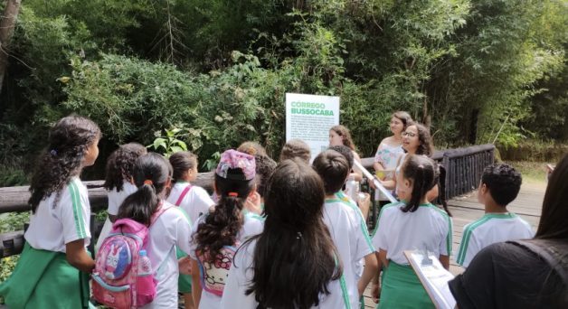  Semana de Meio Ambiente 2023 em Osasco contará com cientistas da USP 