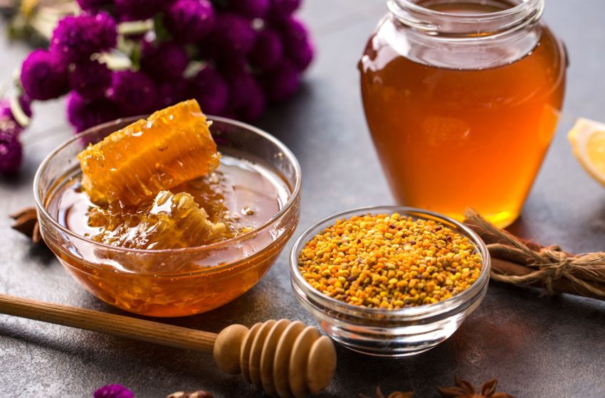  Jandira extrai mel diretamente do Portal Ecológico