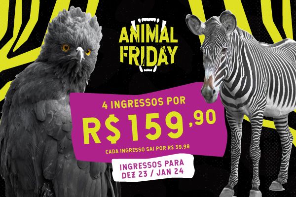  Zoo SP aproveita Black Friday e promove descontos imperdíveis em ingressos