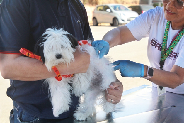  Posto fixo de vacinação antirrábica de cães e gatos retoma atendimento dia 8  