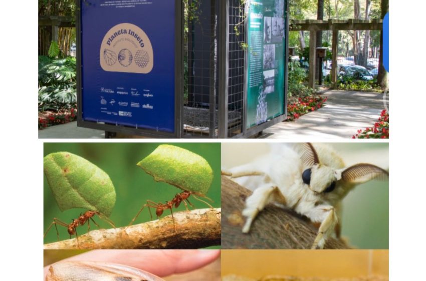  Agenda Cultural: Exposição “Planeta Inseto” leva jardim de insetos para a Avenida Paulista