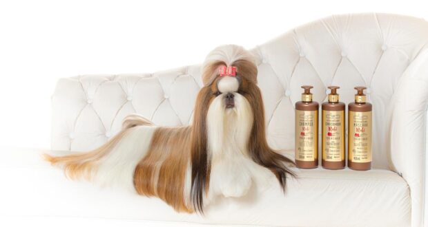  Grupo Dolce Pet leva o protagonismo do setor de estética animal a PET South America 2024