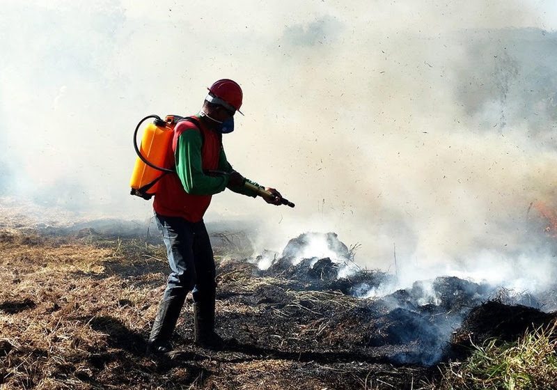  Governo de SP já aplicou mais de R$ 21 milhões em multas na Operação SP sem Fogo