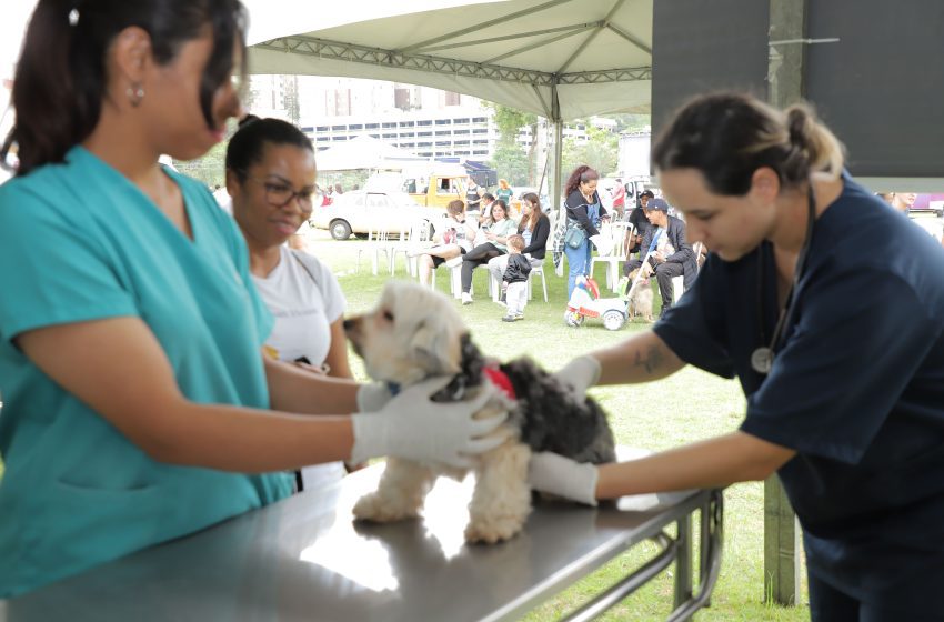  Barueri realiza mais uma edição do Dia Animal no Parque Dom José 