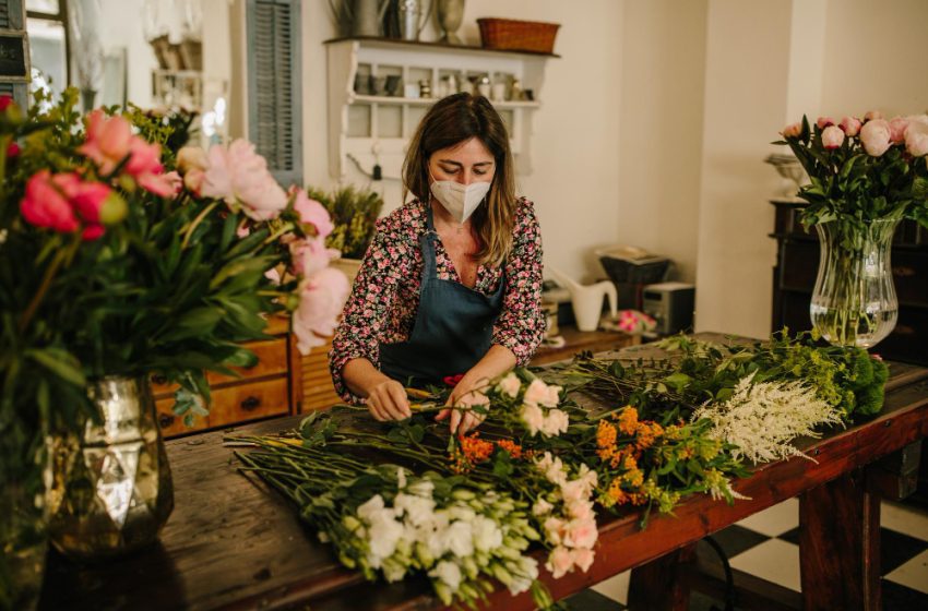   Sebrae Aqui de Cotia tem inscrições para cursos sobre fluxo de caixa e precificação
