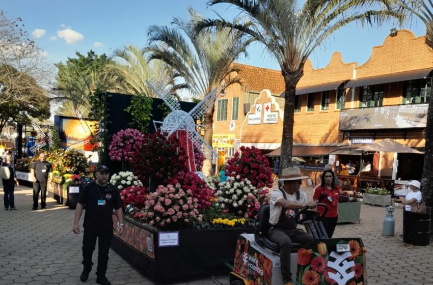  Expoflora, em Holambra, deve receber 300 mil visitantes