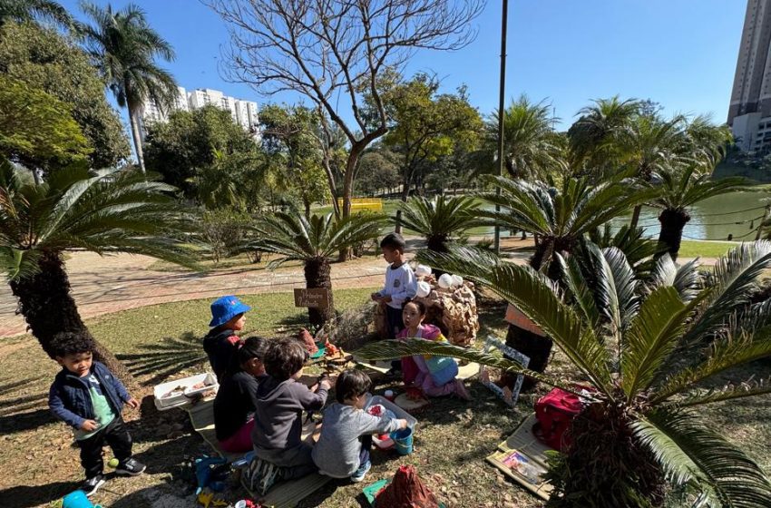  Parque Municipal Dom José vira palco para a imaginação infantil no “Parque dos Dinossauros” 