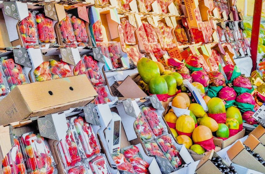  EcoFeira Granja Viana terá ‘Versão de Inverno’ no Parque Jequitibá em Cotia