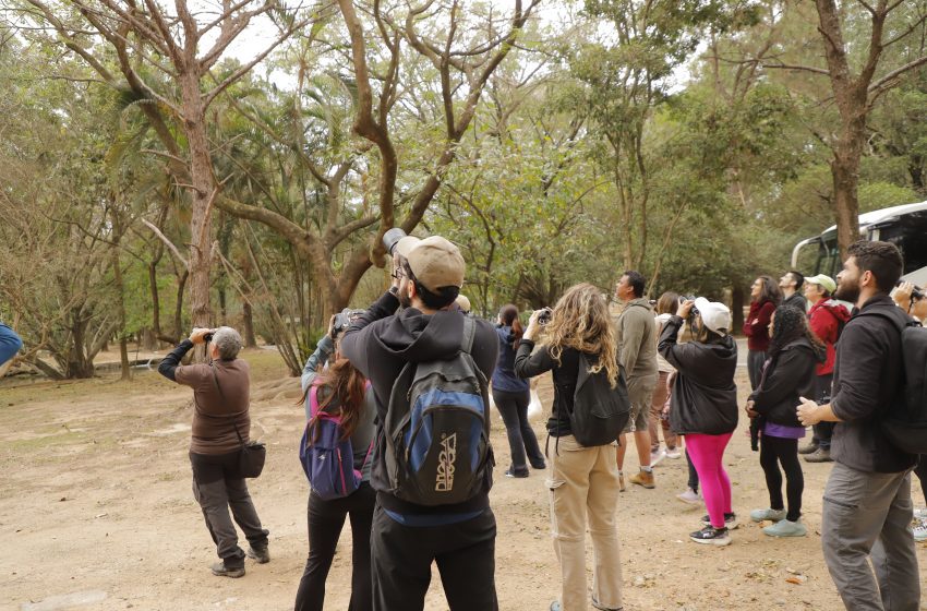  “Vem Passarinhar” atrai observadores de aves ao Parque Ecológico do Tietê, em Barueri