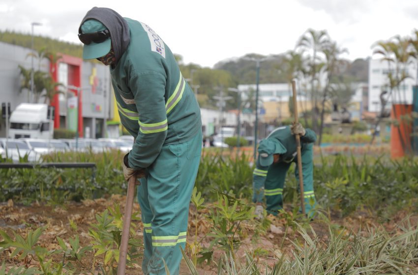  Cidade impecável: Barueri remove quase 400 mil toneladas de resíduos em 2025  