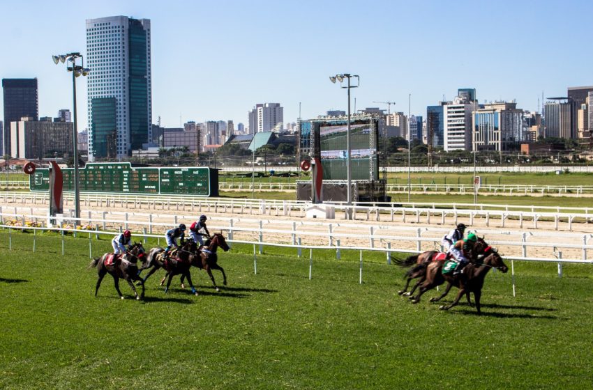  Câmara de sp altera regimento para investigar jockey club