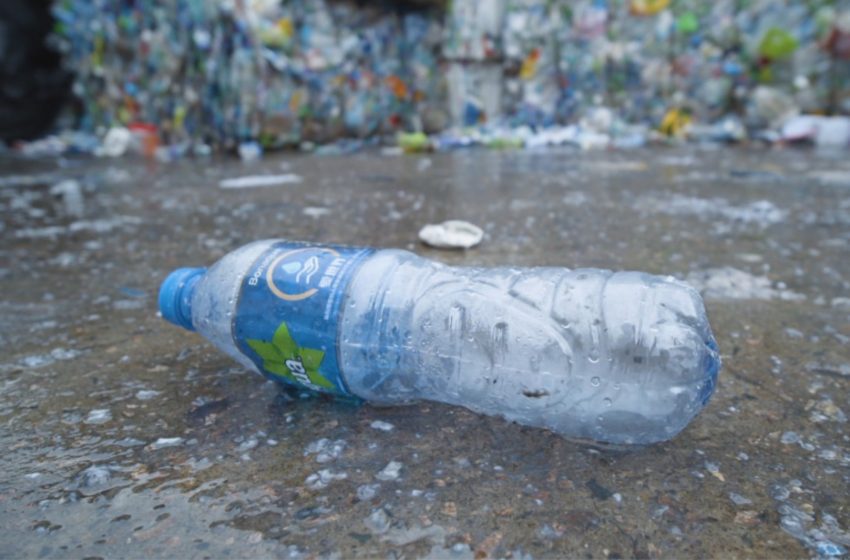  Microplásticos ameaçam a saúde óssea, aponta revisão científica