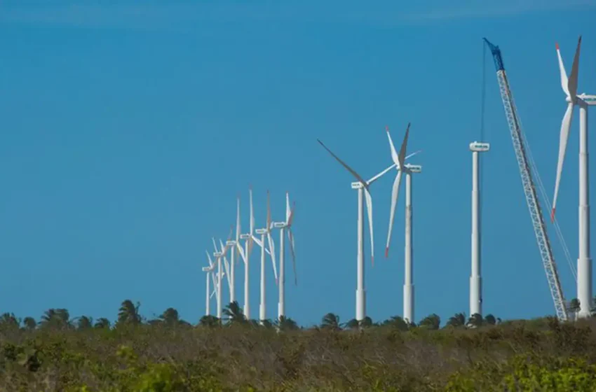  Brasil pode criar milhões de empregos verdes até 2050, aponta estudo