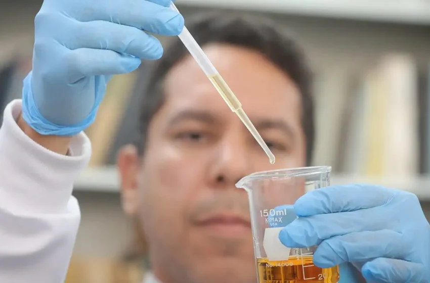  Metanol: crise completa um mês com alerta de falsificação de bebidas