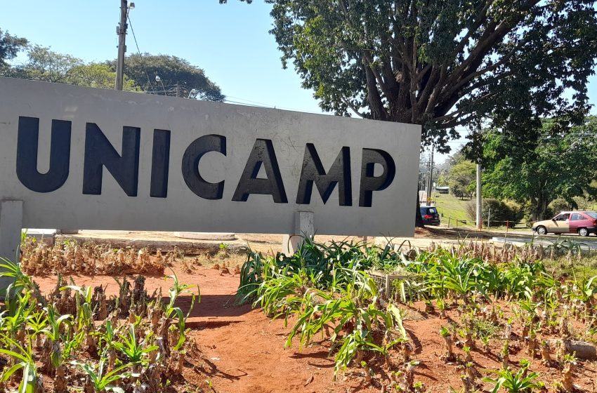  Unicamp avança com plano para novo curso de direito a partir de 2027