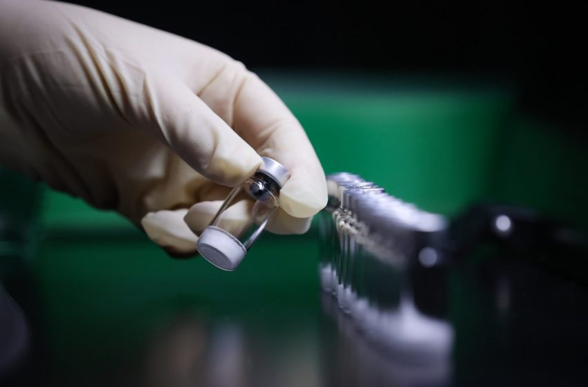  Trabalho de uma década: veja como foram os estudos da vacina da dengue do Instituto Butantan