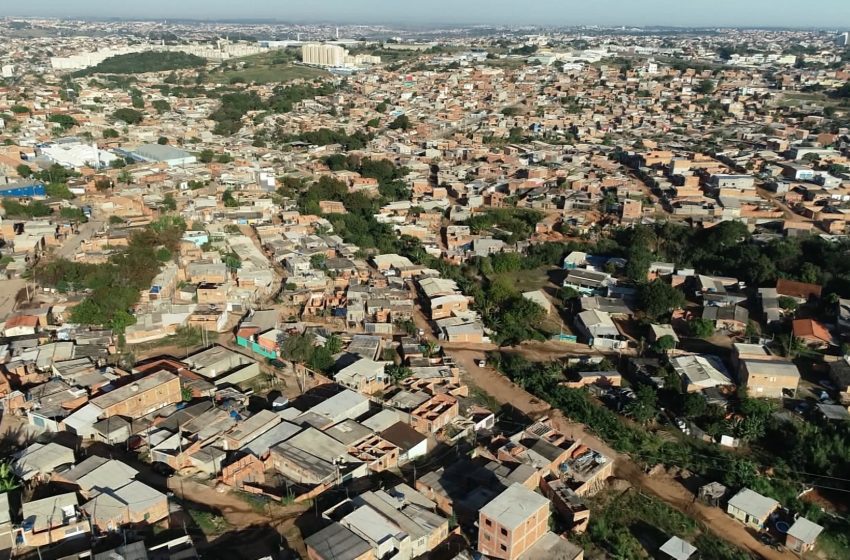  Câmara de campinas aprova atualização cadastral aérea e microflorestas urbanas