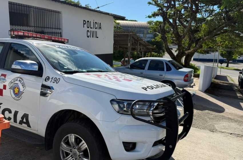  Idoso morre e companheira é ferida em ataque de abelhas em salto de pirapora