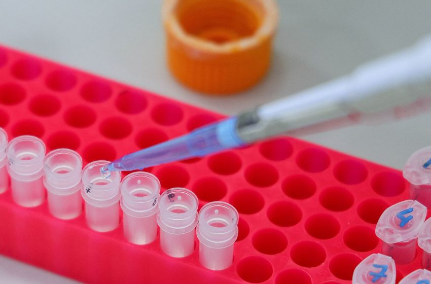  Estudo do genoma se concentra em nações ricas, alerta organização mundial