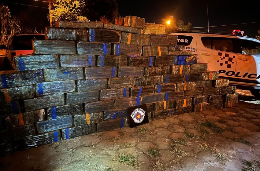  São Paulo: 600 kg de drogas apreendidos diariamente; R$ 3 bilhões em redes criminosas