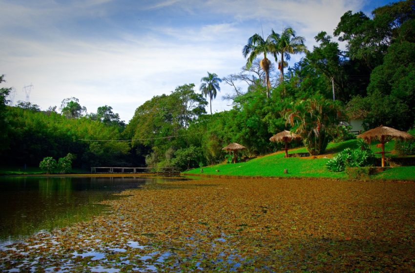  Frutas e Bandeirantes: nova Rota da Cachaça celebra sabor e história em