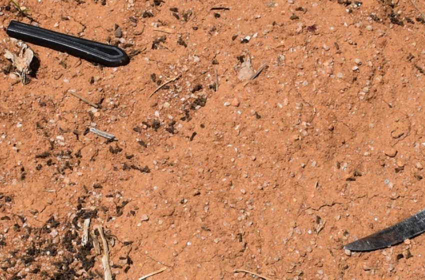  Polícia prende suspeitos da morte violenta de mulher em rodovia de SP