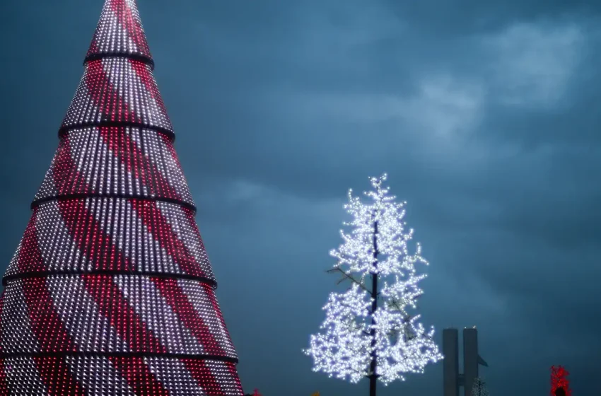  Ação da Cidadania projeta distribuir sete mil toneladas de alimentos