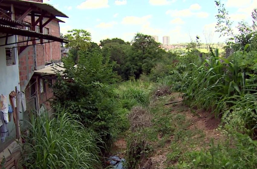  Censo revela a precariedade no entorno de favelas em campinas