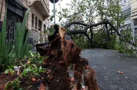 © Paulo Pinto/Agência Brasil