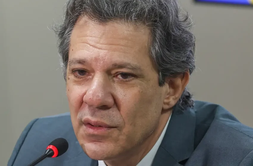  Haddad articula resposta institucional do STF ao impacto do Caso Master