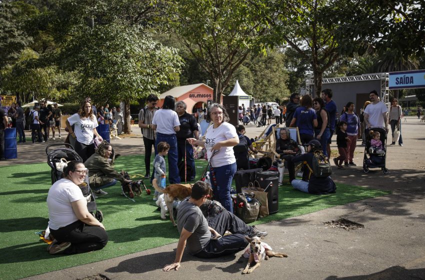  Governo Tarcísio de Freitas expande programa de castração animal gratuita em São Paulo