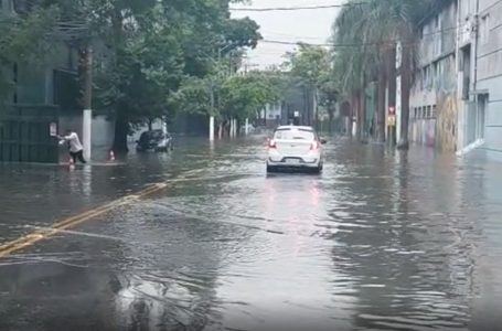 © Reprodução/Eduardo Viné Boldt/TV Brasil