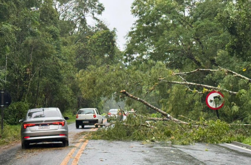  Chuvas intensas interditam Serra Mogi-Bertioga e afetam litoral paulista
