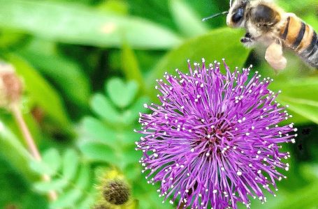 © Juca Varella/Agência Brasil