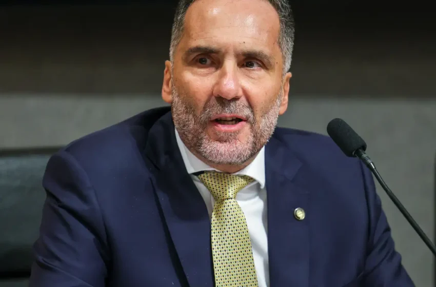  PL antifacção pode não atingir a elite do crime organizado, alerta especialista