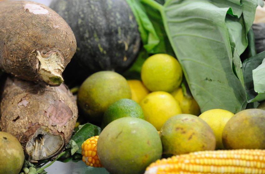  Pós-carnaval: um guia essencial para desintoxicação e bem-estar corporal