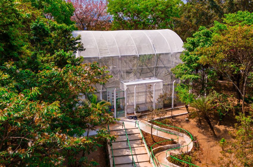  Borboletário de Osasco passa por reforma durante o mês de fevereiro