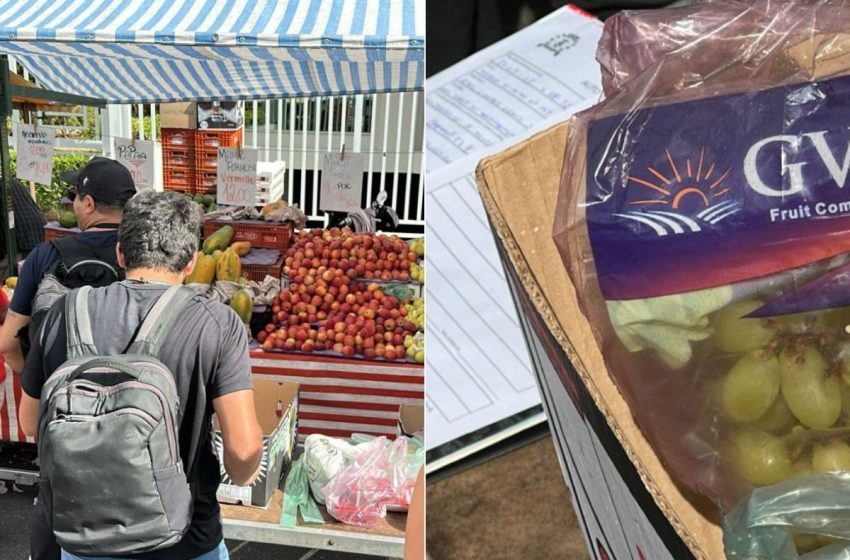  Santos cassa pontos de feirantes por irregularidades em força-tarefa