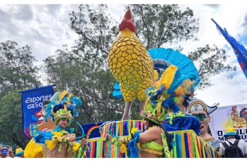  Galo da Madrugada leva frevo e maracatu para o Carnaval de São
