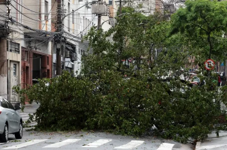 © Paulo Pinto/Agência Brasil