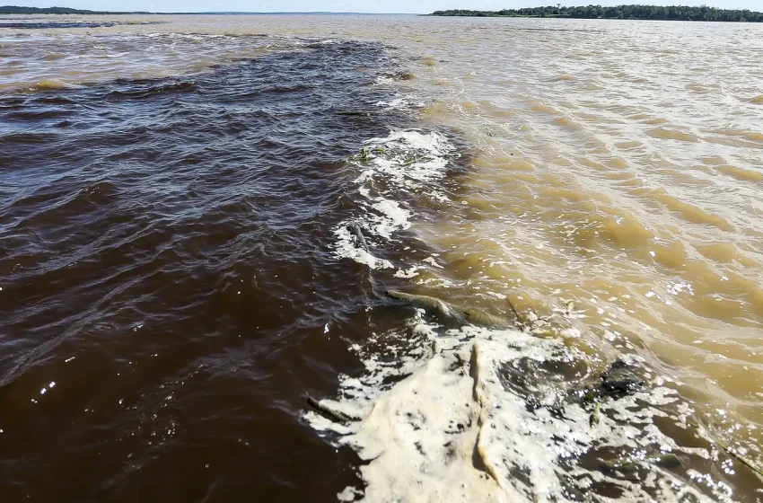  Naufrágio em Manaus: duas mortes e sete desaparecidos em tragédia fluvial