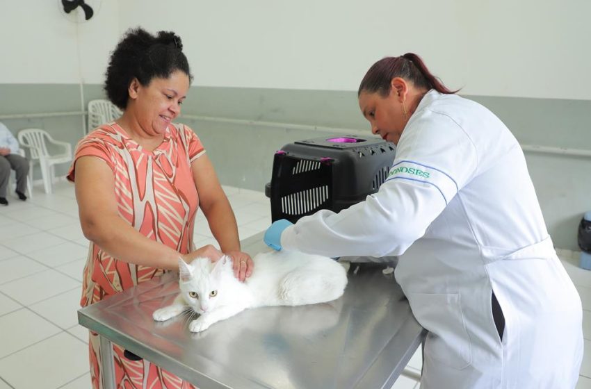  Vacinação contra raiva: confira o funcionamento do posto fixo no mês de março em Barueri