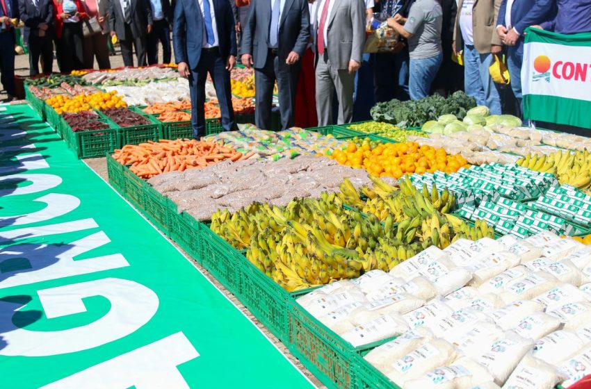  Feira Nacional da Agricultura Familiar se despede, celebrando diversidade e sustentabilidade