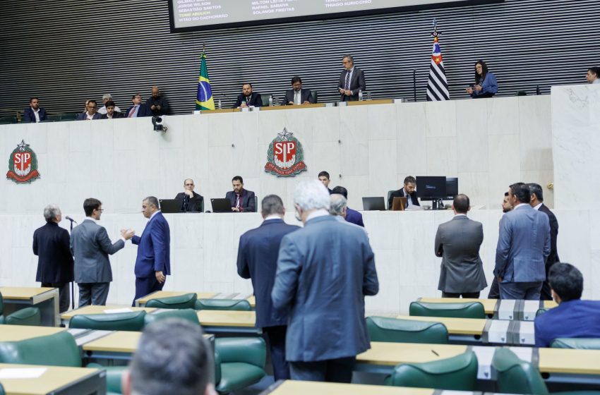  Alesp aprova leis que ampliam combate à pedofilia nas escolas e proteção a mulheres em universidades